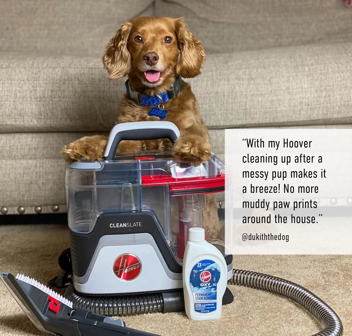 Portable Carpet and Upholstery Spot Cleaner M724722