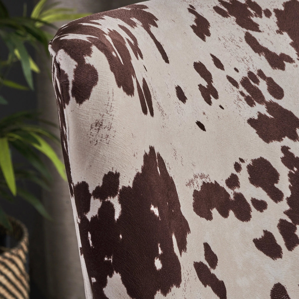 Milk Cow Velvet Club Chair A7095
